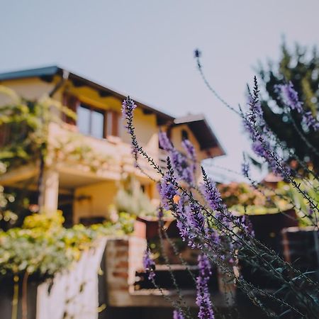 Holiday Home Castanea Praporcan Экстерьер фото