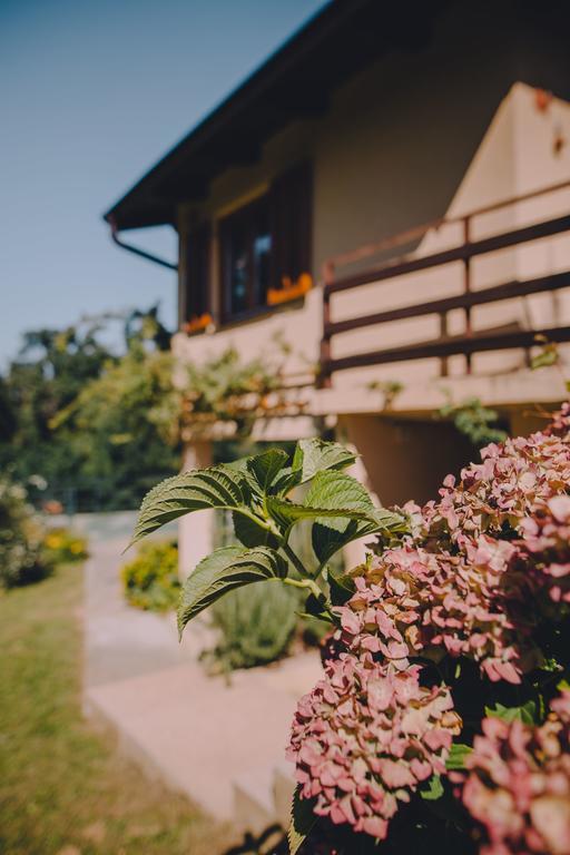 Holiday Home Castanea Praporcan Экстерьер фото