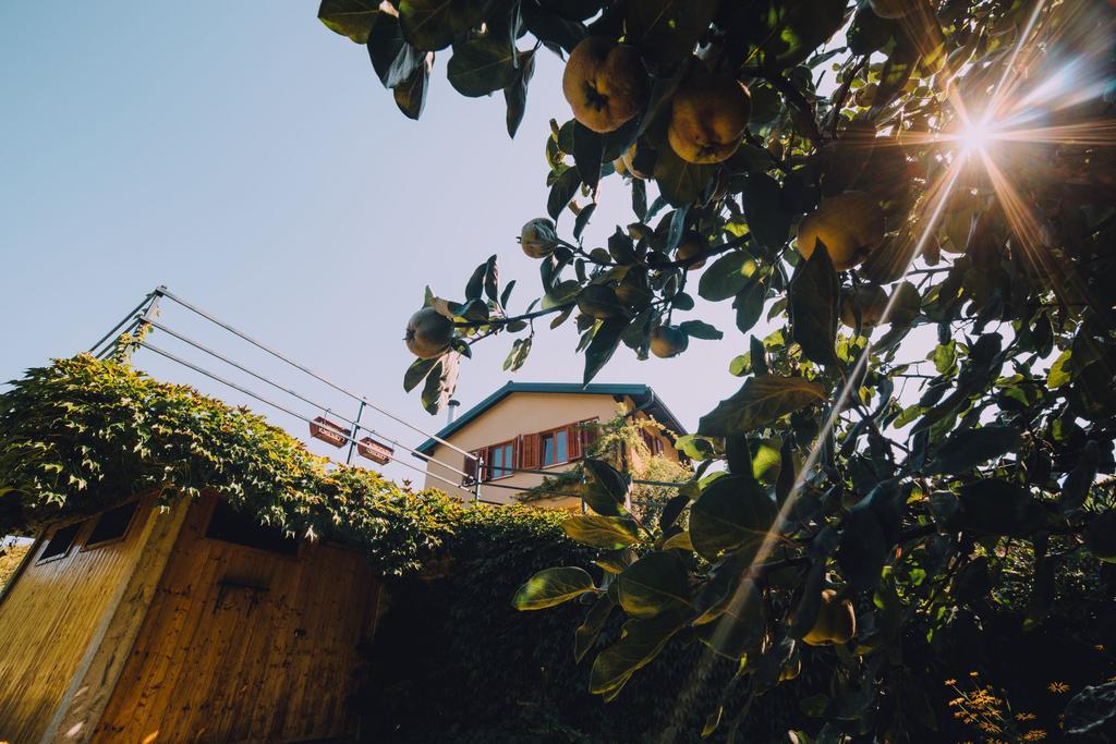 Holiday Home Castanea Praporcan Экстерьер фото